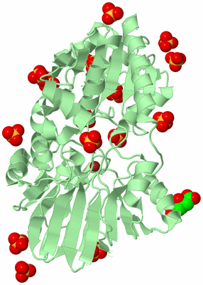 Image Biological Unit 2