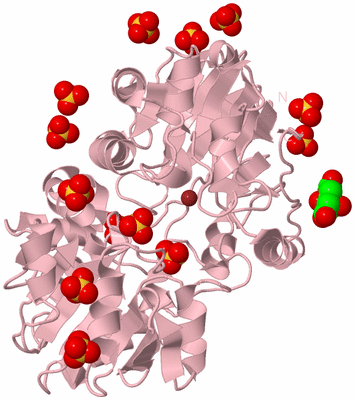 Image Biological Unit 3