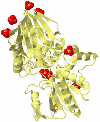 Image Biological Unit 4