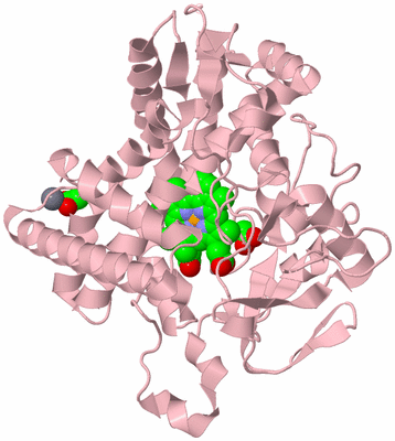 Image Biological Unit 3