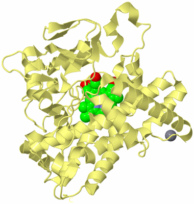 Image Biological Unit 4