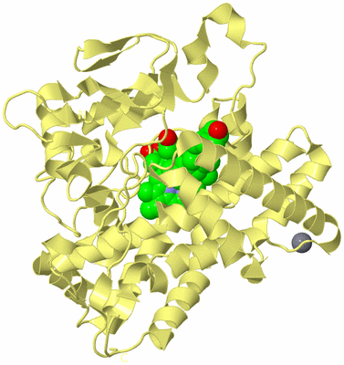 Image Biological Unit 4