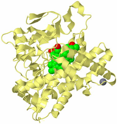 Image Biological Unit 4