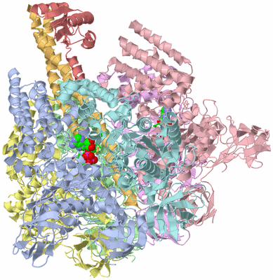 Image Biol. Unit 1 - sites