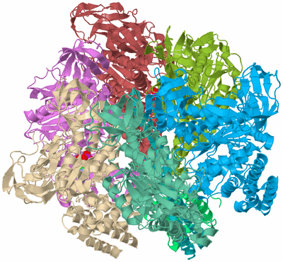 Image Biological Unit 2