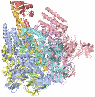 Image Biological Unit 1