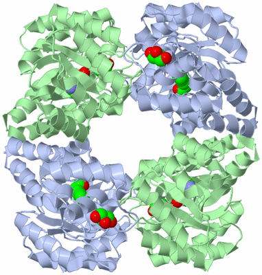 Image Biological Unit 1