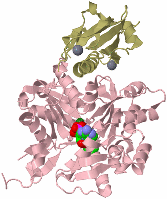 Image Asym./Biol. Unit