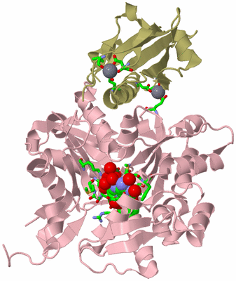 Image Asym./Biol. Unit - sites