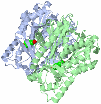 Image Asym./Biol. Unit