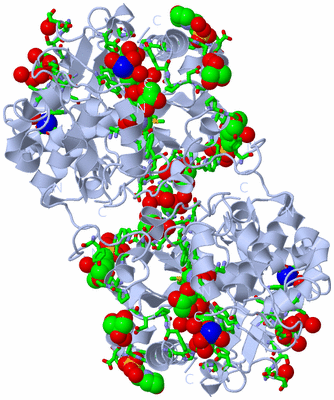 Image Biol. Unit 1 - sites