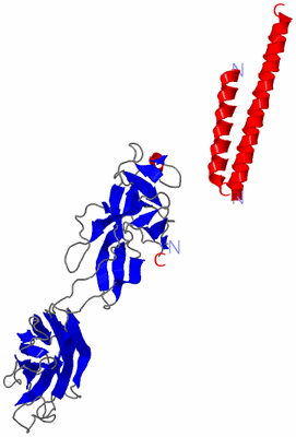 Image Asymmetric Unit