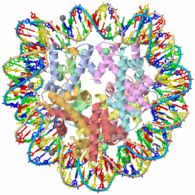 Image Asym./Biol. Unit