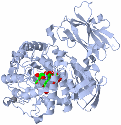 Image Biological Unit 1