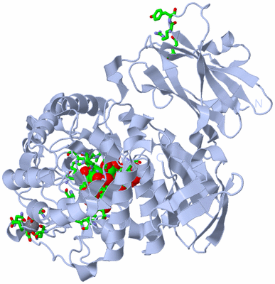 Image Biol. Unit 1 - sites