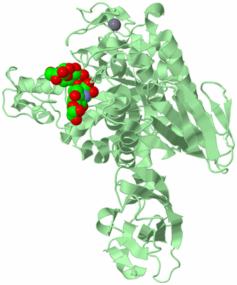 Image Biological Unit 2