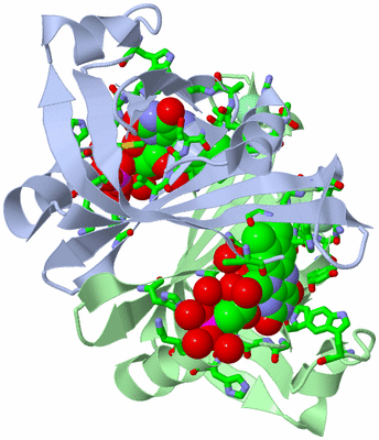 Image Asym./Biol. Unit - sites