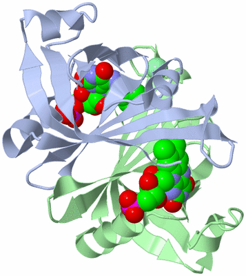 Image Biological Unit 1