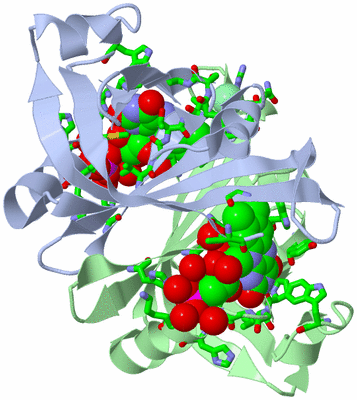 Image Biol. Unit 1 - sites