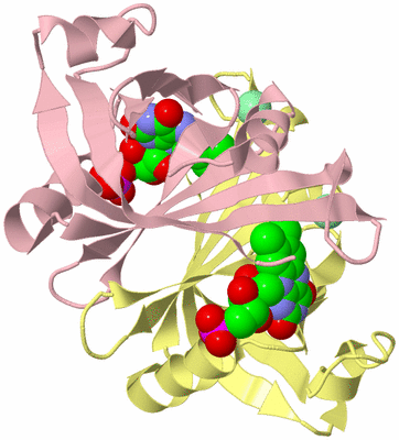 Image Biological Unit 2