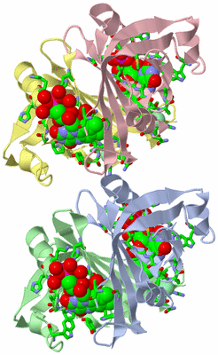 Image Asym. Unit - sites