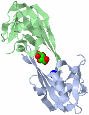 Image Biological Unit 3