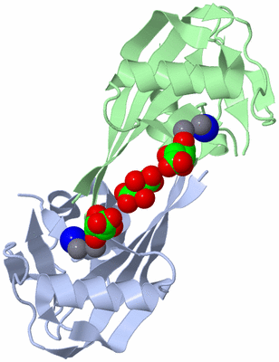 Image Biological Unit 3