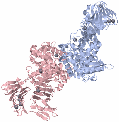 Image Asym./Biol. Unit