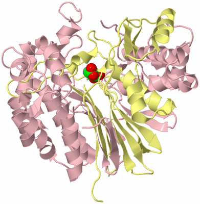 Image Biological Unit 2