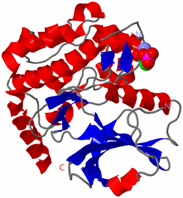 Image Asym./Biol. Unit