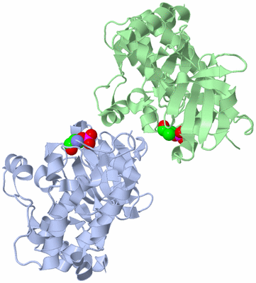 Image Biological Unit 3