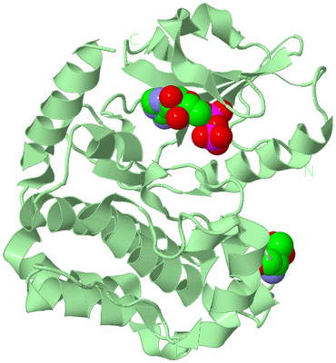 Image Biological Unit 2