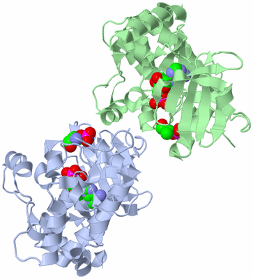 Image Biological Unit 3