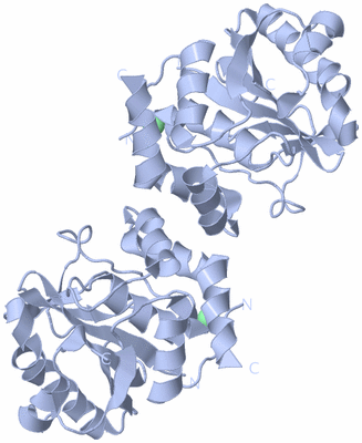 Image Biological Unit 2