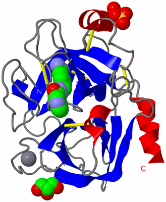 Image Asym./Biol. Unit