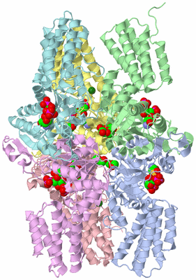 Image Asym./Biol. Unit