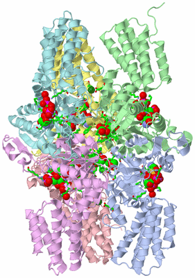 Image Asym./Biol. Unit - sites