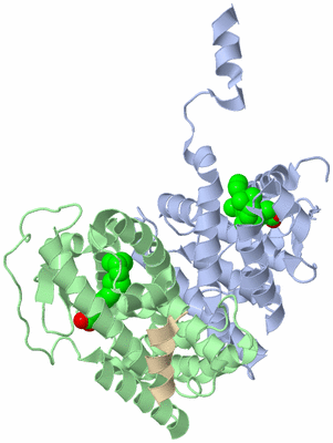 Image Biological Unit 1