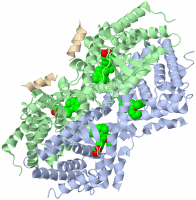 Image Biological Unit 2