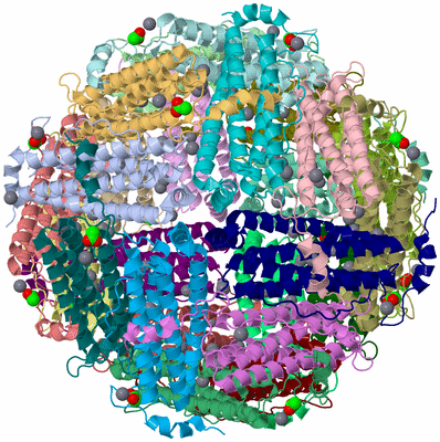 Image Asym./Biol. Unit