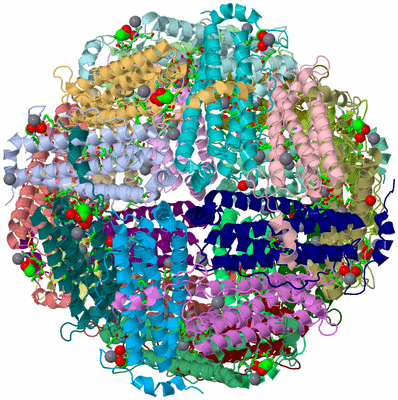 Image Asym./Biol. Unit - sites