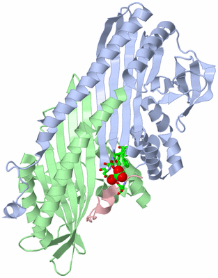 Image Asym./Biol. Unit - sites