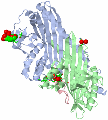 Image Asym./Biol. Unit - sites