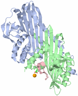 Image Asym./Biol. Unit - sites