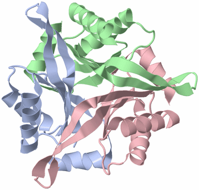 Image Asym./Biol. Unit