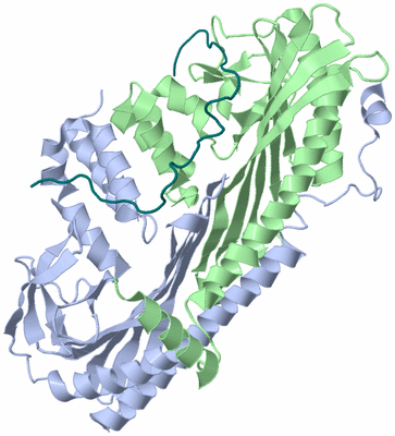 Image Biological Unit 1