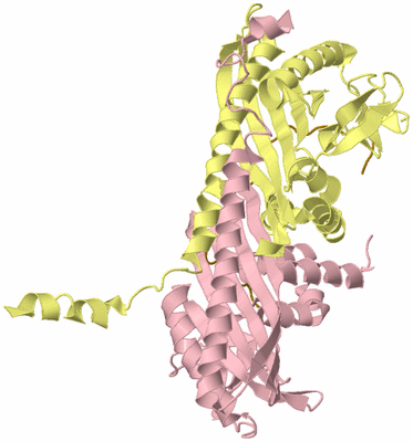 Image Biological Unit 2