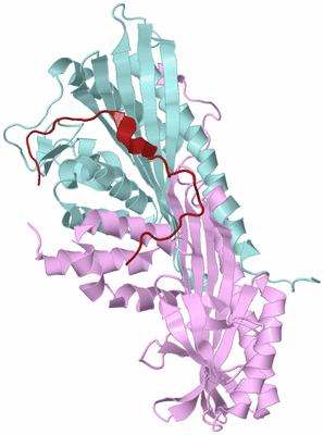 Image Biological Unit 3