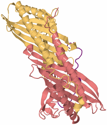 Image Biological Unit 4