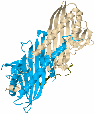 Image Biological Unit 5